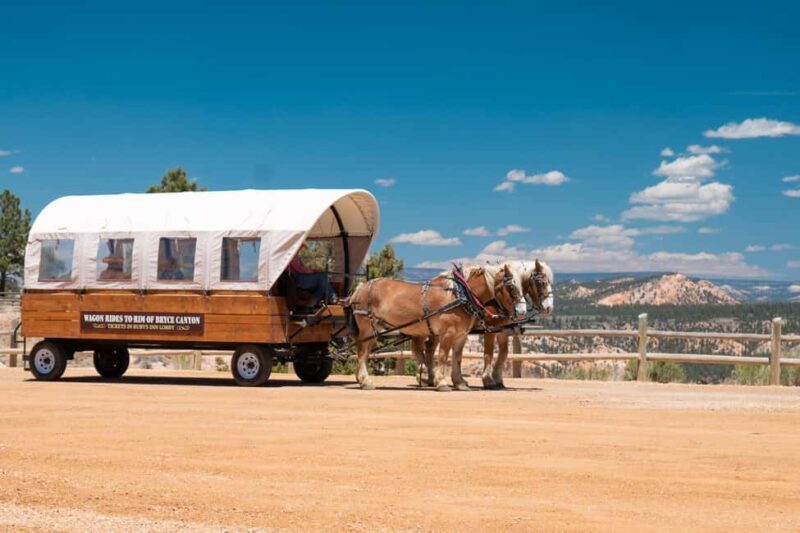 Bryce Canyon City: Wagon Ride to the Rim of Bryce Canyon - Who Should Consider This Tour?