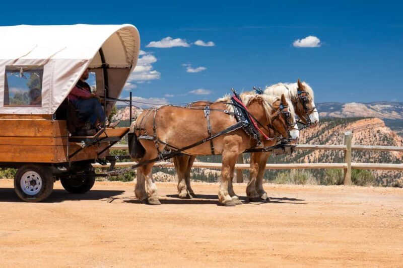 Bryce Canyon City: Wagon Ride to the Rim of Bryce Canyon - FAQ