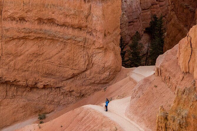 Bryce Canyon Full Day Private Tour and Hike - Discover Bryce Canyon on a Private Full-Day Tour with Hikes and Scenic Views