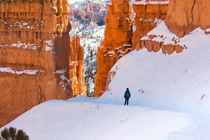 Bryce Canyon Full Day Private Tour and Hike - An In-Depth Look at the Bryce Canyon Full-Day Private Tour