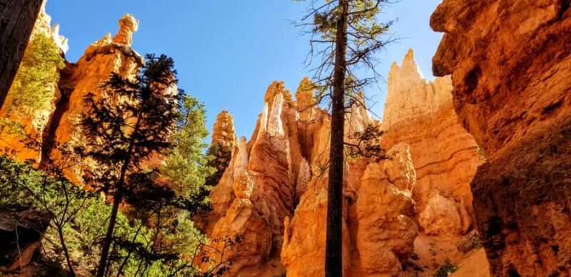 Bryce Canyon Hiking Challenge - Trail Breakdown and Key Stops