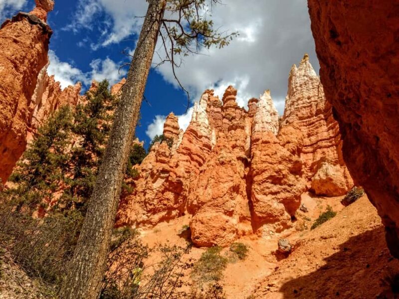 Bryce Canyon Hiking Challenge - Practical Details: What to Bring and Expect