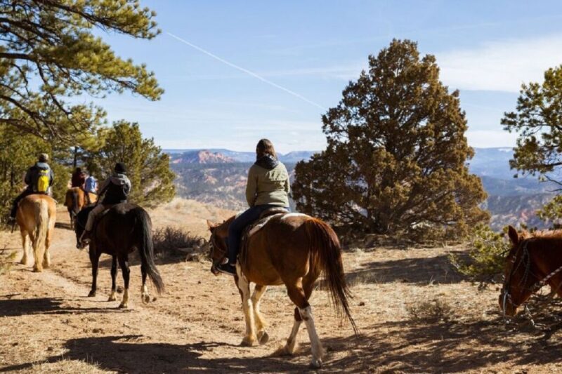 Bryce Canyon: Horseback Ride in the Dixie National Forest - The Experience: A Deep Dive into the Ride
