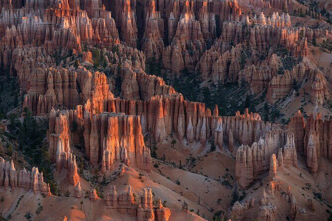 Bryce Canyon Photography Tours - An In-Depth Look at Bryce Canyon Photography Tours