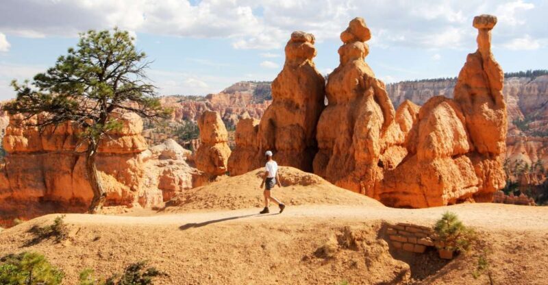Bryce Canyon & Zion National Park: Private Group Tour - The Sum Up