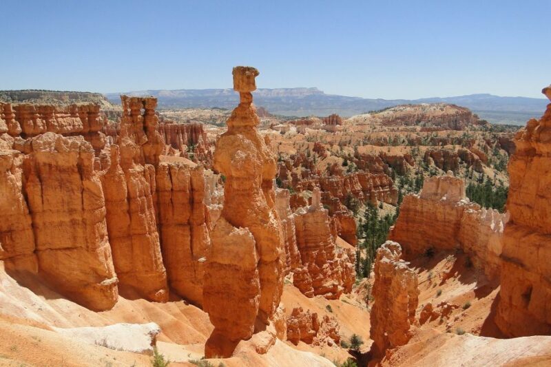 Bryce: Guided Sightseeing Tour of Bryce Canyon National Park - An Overview of What You Can Expect