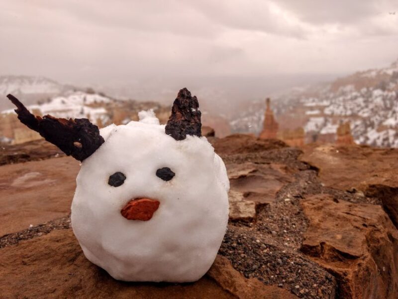 Bryce: Guided Sightseeing Tour of Bryce Canyon National Park - The Sum Up