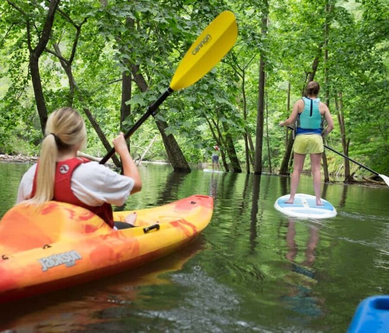 Bryson City: Fontana Lake Guided Kayak Tour - Exploring Fontana Lake: A Natural Gem Near Bryson City