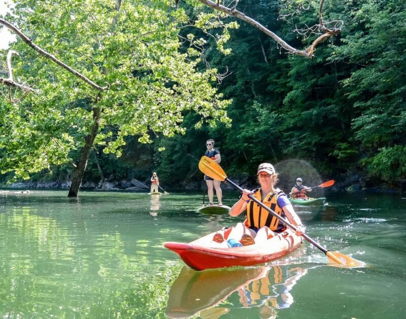 Bryson City: Fontana Lake Guided Kayak Tour - Authentic Experiences and Authentic Guides