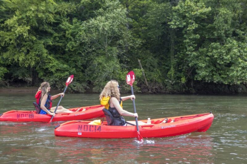 Bryson City: Fontana Lake Guided Kayak Tour - Who Will Love This Experience?