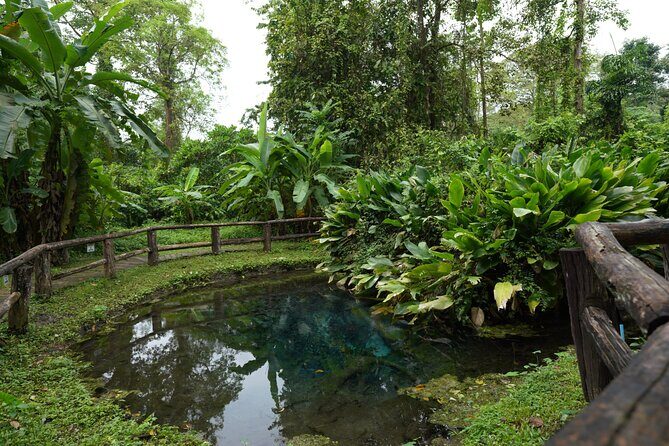 Bua Tong Sticky Waterfall-Nam Phu Chet Si Hotel Van Transfer - Authentic Experiences and Guest Feedback