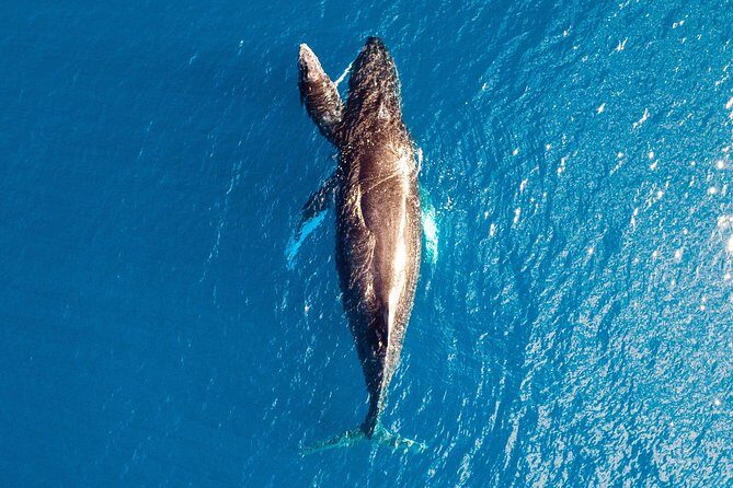 Buccaneer Explorer - Dry Season - Authentic Experiences and Genuine Value