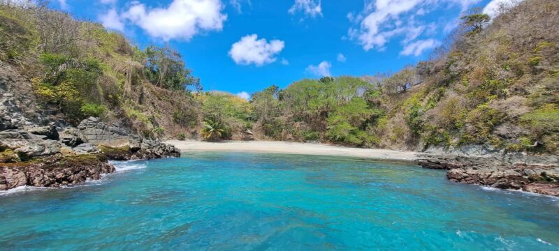Buccoo Reef and Nylon Pool Adventure - An In-Depth Look at the Buccoo Reef and Nylon Pool Tour