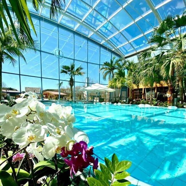 Bucharest: All Day Therme with Elysium Experience - A Relaxing Escape in Bucharest: All Day Therme with Elysium Experience