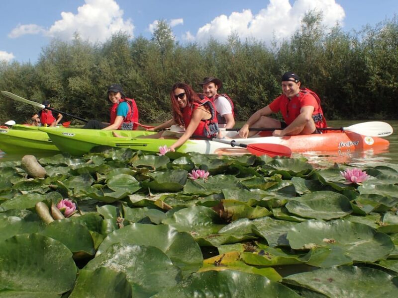 Bucharest: Arges River Kayaking Tour with Transfers - Final Thoughts