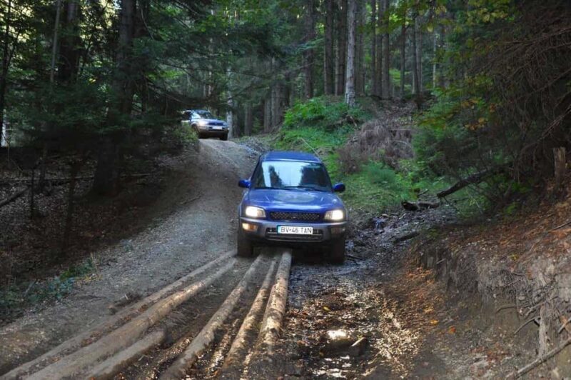 Bucharest: Brown Bears Sanctuary and Quad Tour - Transportation and Practicalities