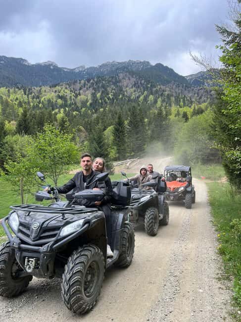 Bucharest: Brown Bears Sanctuary and Quad Tour - Who Will Love This Tour?