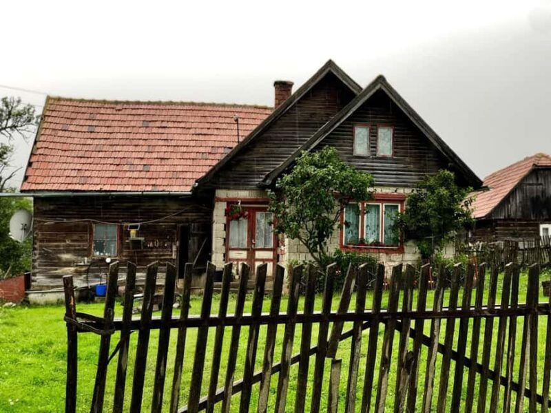 Bucharest: Brown Bears Sanctuary and Quad Tour - Final Thoughts