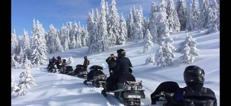 Bucharest: Carpathian Snowmobile Adventure Tour - Final Thoughts: Is It Worth It?