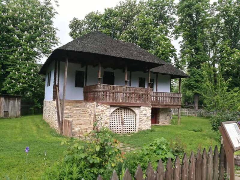 Bucharest city tour: Village Museum visit & Panormaic tour - Who Should Consider This Tour?