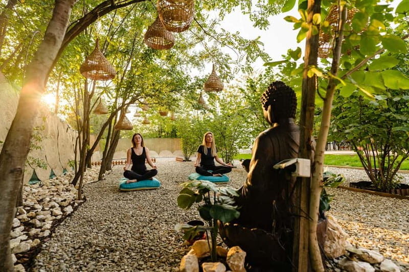 Bucharest: Day Trip at the The Tribe Alpaca Retreat - Price and Value