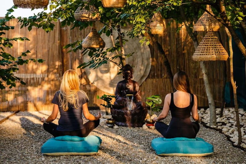 Bucharest: Day Trip at the The Tribe Alpaca Retreat - Who should consider this tour?