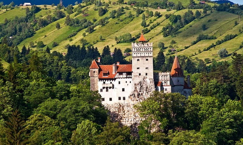 Bucharest: Day Trip to Bear Sanctuary, Bran Castle & Brasov - Key Points
