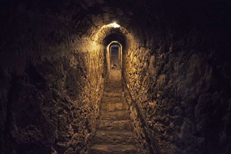 Bucharest: Dracula Castle, Peles Castle & Brasov Guided Tour - Who Should Consider This Tour?