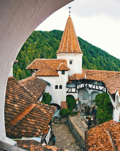 Bucharest: Dracula's Castle, Peles Castle, & Brasov Old Town - Who Will Appreciate This Tour?