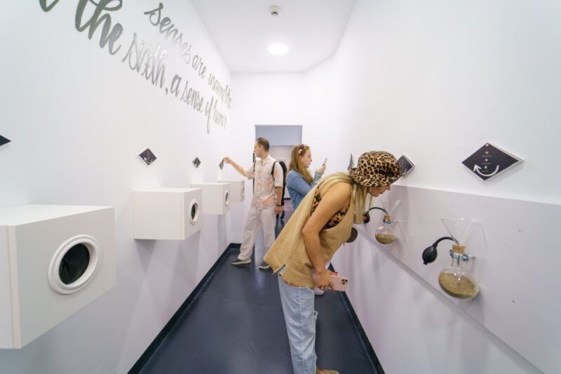 Bucharest: Museum of Senses Entry Ticket - Summary of Value