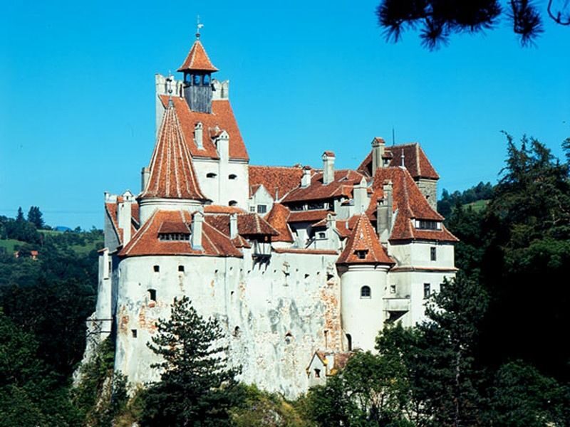 Bucharest: Peles Castle, Dracula's Castle and Brasov Tour - A Deep Dive into the Experience