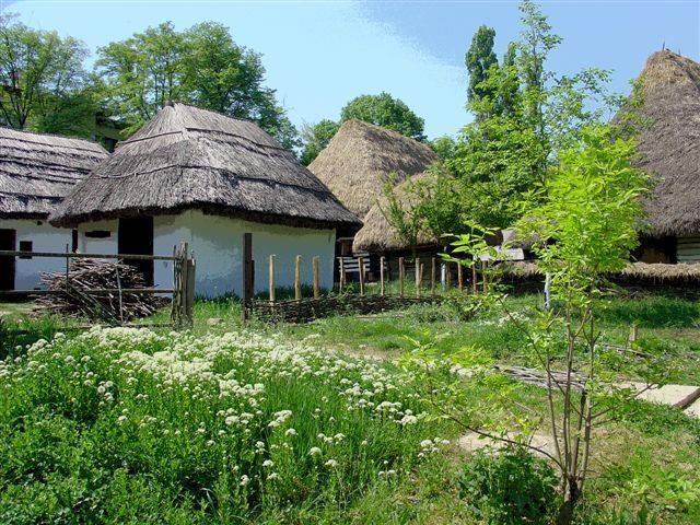 Bucharest: Private City Tour Guided Experience - The Value Proposition