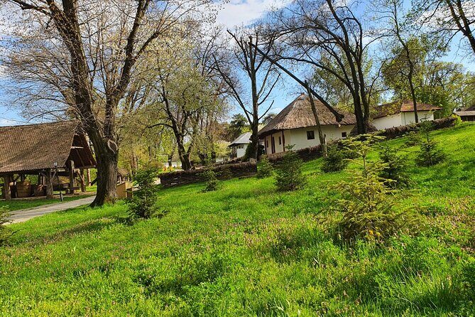 Bucharest Private Tour with Dracula's Grave and Ceauescu Mansion - Who Should Book This Tour?