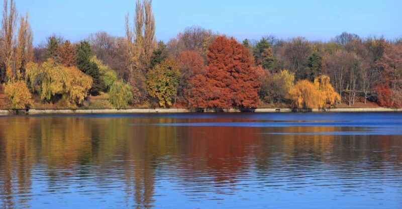 Bucharest Sightseeing Tour - Authentic and Engaging Guides: The Heart of the Tour