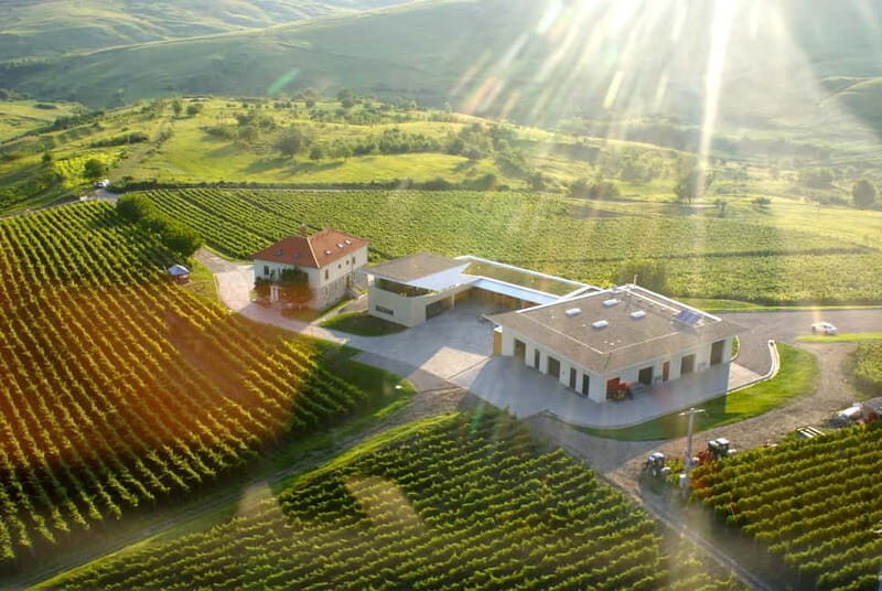 Bucharest: Taste the Magic of Wine in Romanias Tuscany - A Close Look at the Experience