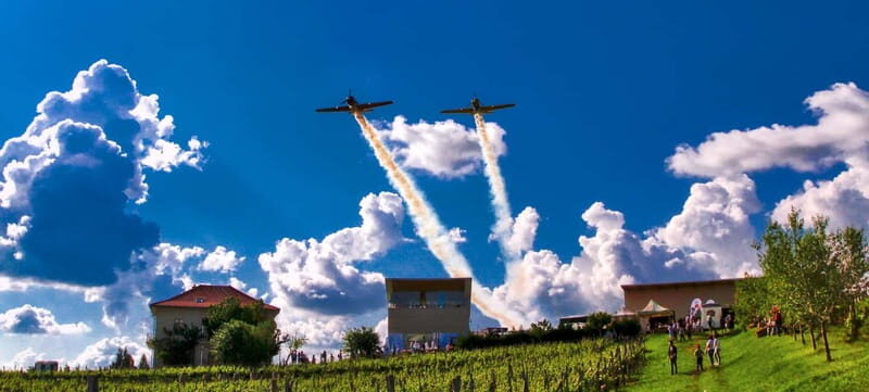 Bucharest: Taste the Magic of Wine in Romanias Tuscany - Who Will Love This Tour?