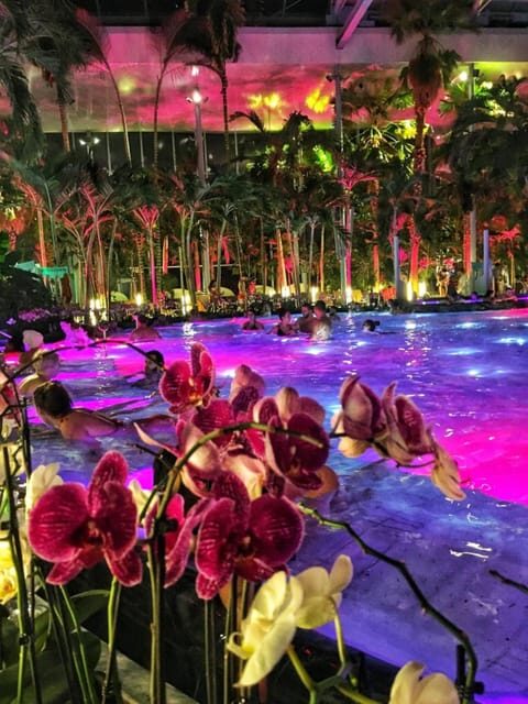Bucharest: Therme Spa Night Experience with Transfer - Who Should Consider This Tour?