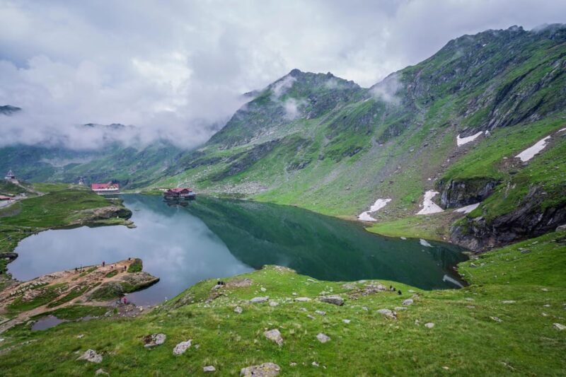 Bucharest: Top Gear Road and Wild Brown Bears Day Trip - A Deep Dive into the Experience