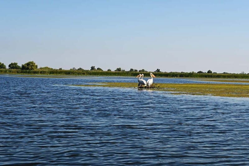 Bucharest: Tour to Danube Delta 2-Days With Boat Tour - Learning about the delta lifestyle