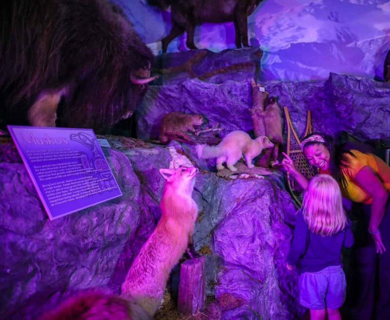 Buckhorn Saloon & Museum / Texas Ranger Museum Entry Ticket - Discovering Texas Heritage at the Buckhorn Saloon & Museum and Texas Ranger Museum