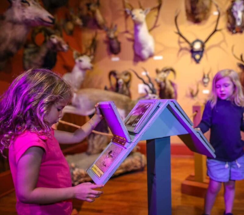 Buckhorn Saloon & Museum / Texas Ranger Museum Entry Ticket - Key Points