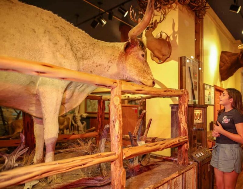 Buckhorn Saloon & Museum / Texas Ranger Museum Entry Ticket - Final Thoughts