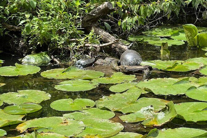 Buckhorn State Park nature hike, kayaking tour, and fishing - Key Points