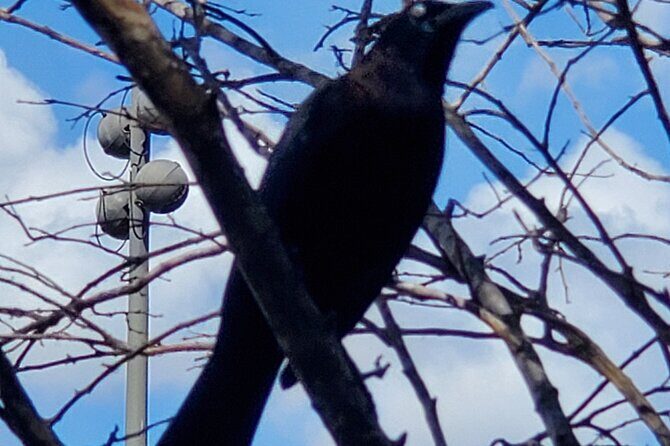 Buckhorn State Park nature hike, kayaking tour, and fishing - Final Thoughts