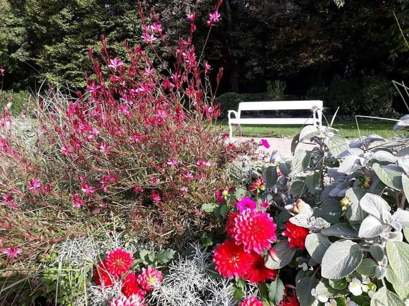 Budapest: Best Gardens Walking Tour & Hungarian Folk Music - Key Points