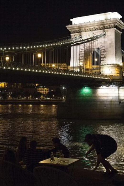 Budapest Boat Cruise at Night with a Drink & Your Own Driver - Key Points