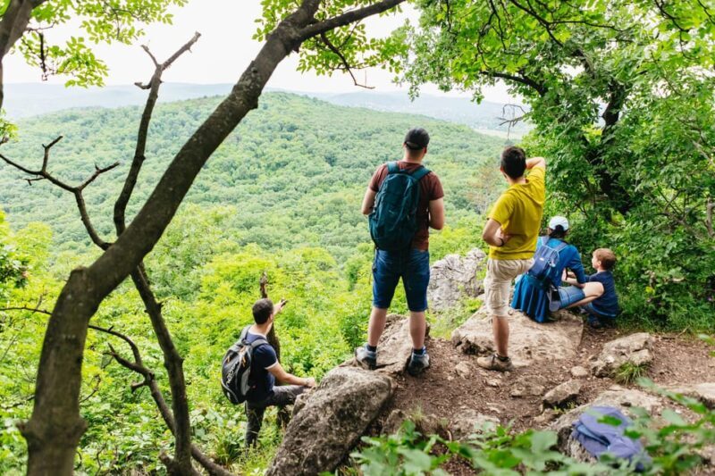 Budapest: Buda Hills Guided Hiking Tour with Optional Lunch - Key Points