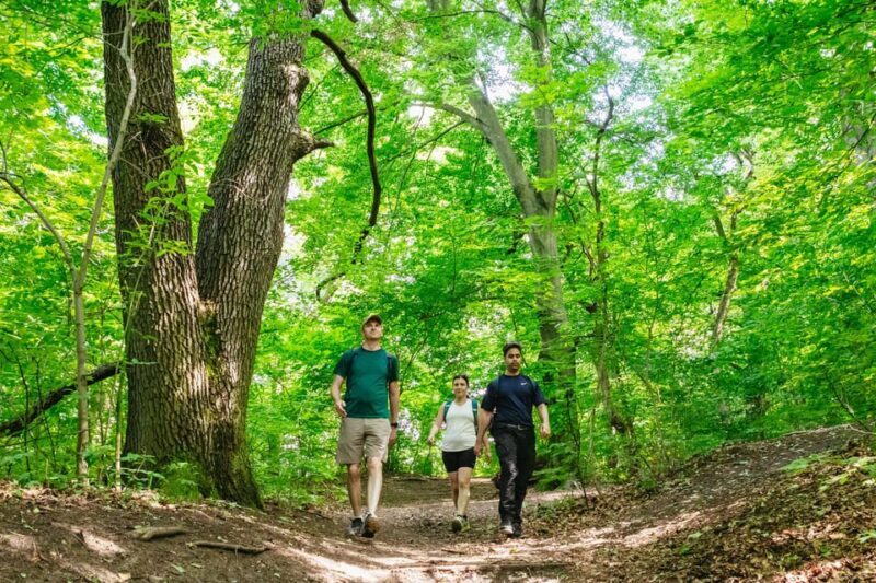Budapest: Buda Hills Guided Hiking Tour with Optional Lunch - Detailed Review of the Buda Hills Guided Hiking Tour