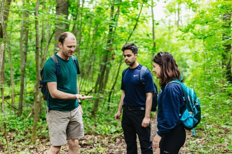 Budapest: Buda Hills Guided Hiking Tour with Optional Lunch - The Sum Up