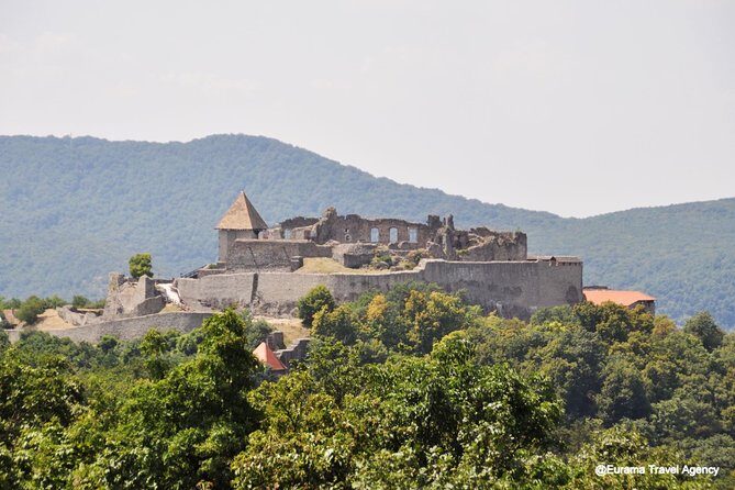 Budapest Danube Bend Full Day Tour with Lunch - Who Should Consider This Tour?